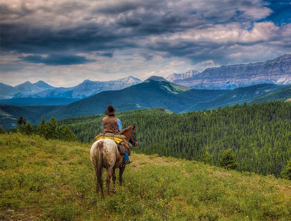 alberta