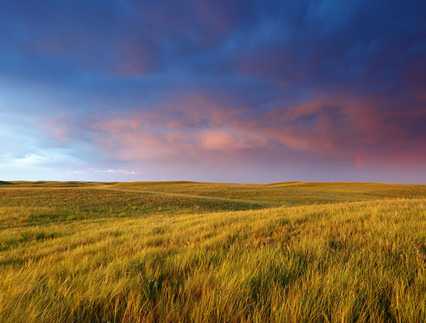 saskatchewan